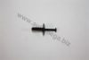 AUTOMEGA 1014000806 Rivet
